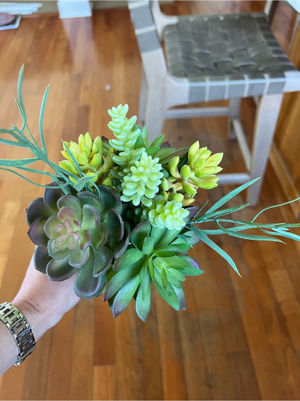 Flowers from pottery barn succulent